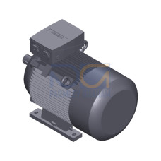 SIMOTICS SD MOTOR TYPE: 1CV3205B Low-voltage motor, IEC Squirrel-cage rotor, self-ventilated, IP55 T
