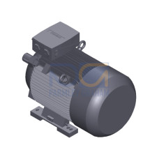 SIMOTICS SD MOTOR TYPE: 1CV3222B Low-voltage motor, IEC Squirrel-cage rotor, self-ventilated, IP55 T