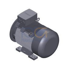 SIMOTICS SD MOTOR TYPE: 1CV3280B Low-voltage motor, IEC Squirrel-cage rotor, self-ventilated, IP55 T