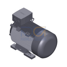 SIMOTICS SD MOTOR TYPE: 1CV3314A Low-voltage motor, IEC Squirrel-cage rotor, self-ventilated, IP55 T