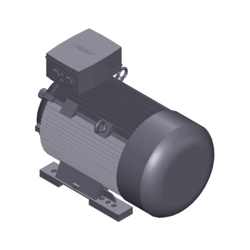 SIMOTICS SD MOTOR TYPE: 1CV3314A Low-voltage motor, IEC Squirrel-cage rotor, self-ventilated, IP55 T