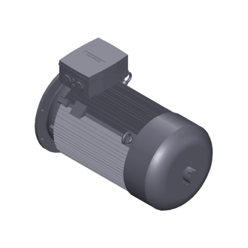 SIMOTICS SD MOTOR TYPE: 1CV3312C Low-voltage motor, IEC Squirrel-cage rotor, self-ventilated, IP55 T