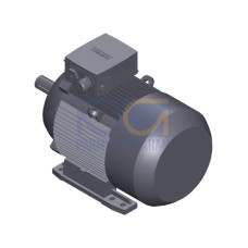 SIMOTICS XP Motor type: 1AV2162A Low-voltage motor, IEC Squirrel-cage rotor, self-ventilated, IP55 T