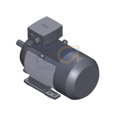 SIMOTICS XP Motor type: 1CV3164A Low-voltage motor, IEC Squirrel-cage rotor, self-ventilated, IP55 T