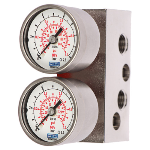 Gauge made of stainless steel 316, stainless steel block, single-action 1/4-18 NPT, scaled in MPa, b